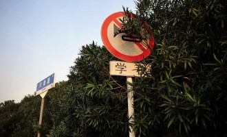 愿你抽到人生最好的签