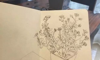 感谢你来，不遗憾你离开