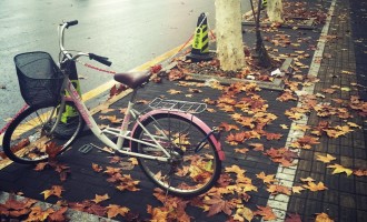 原谅与恢复：对“祸害父母”的依赖以及自保的需求