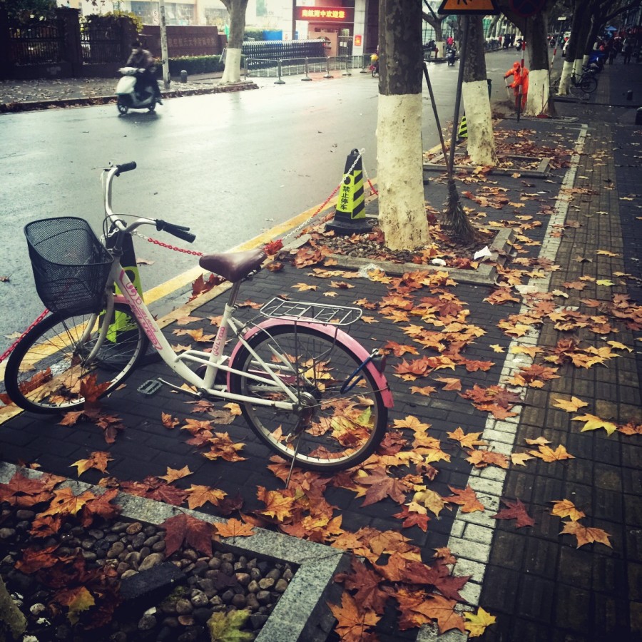 原谅与恢复：对“祸害父母”的依赖以及自保的需求
