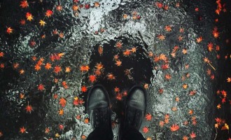 不舍昼夜，澎湃而行