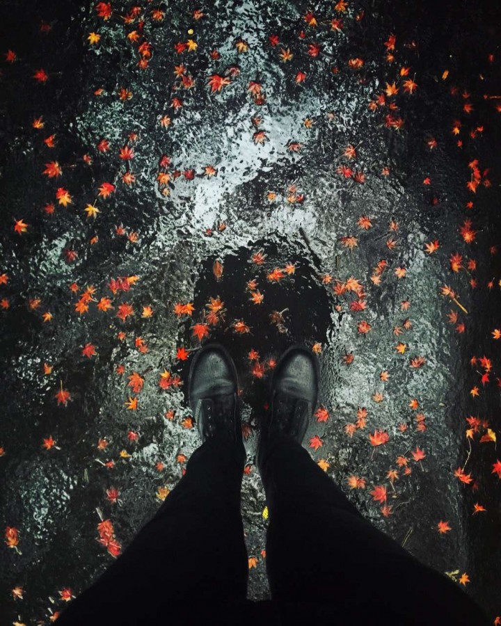 图片/苏晨