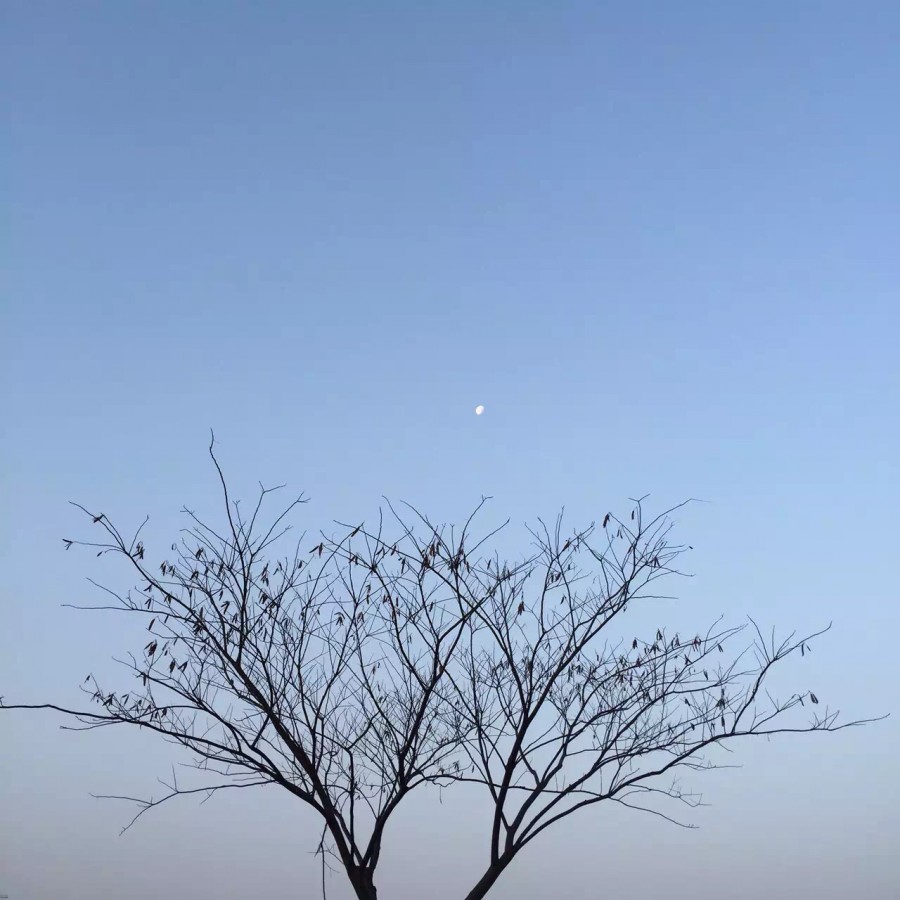 清风自在，何患水波不兴