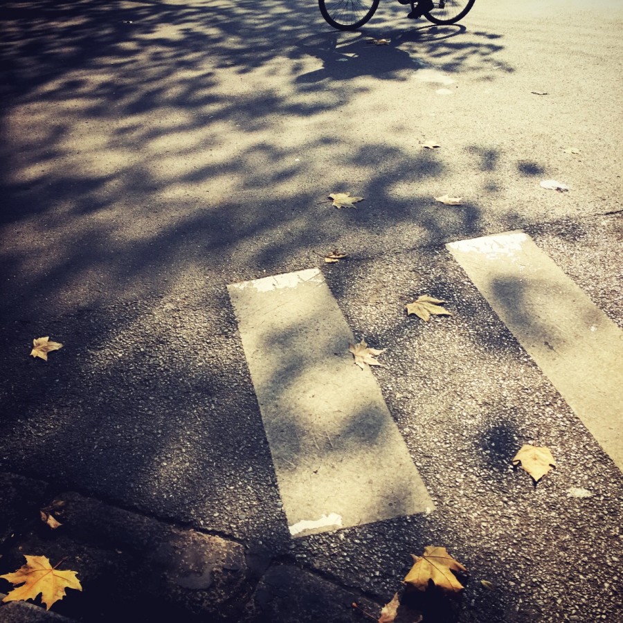 晚来的时光