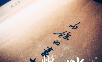 陈丹青-多余的素材：你尚可挣版税，我等只怕真是多余