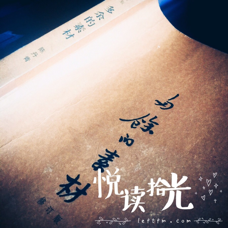 陈丹青：多余的素材
