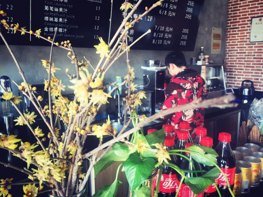 「网咖服务员」陈龙