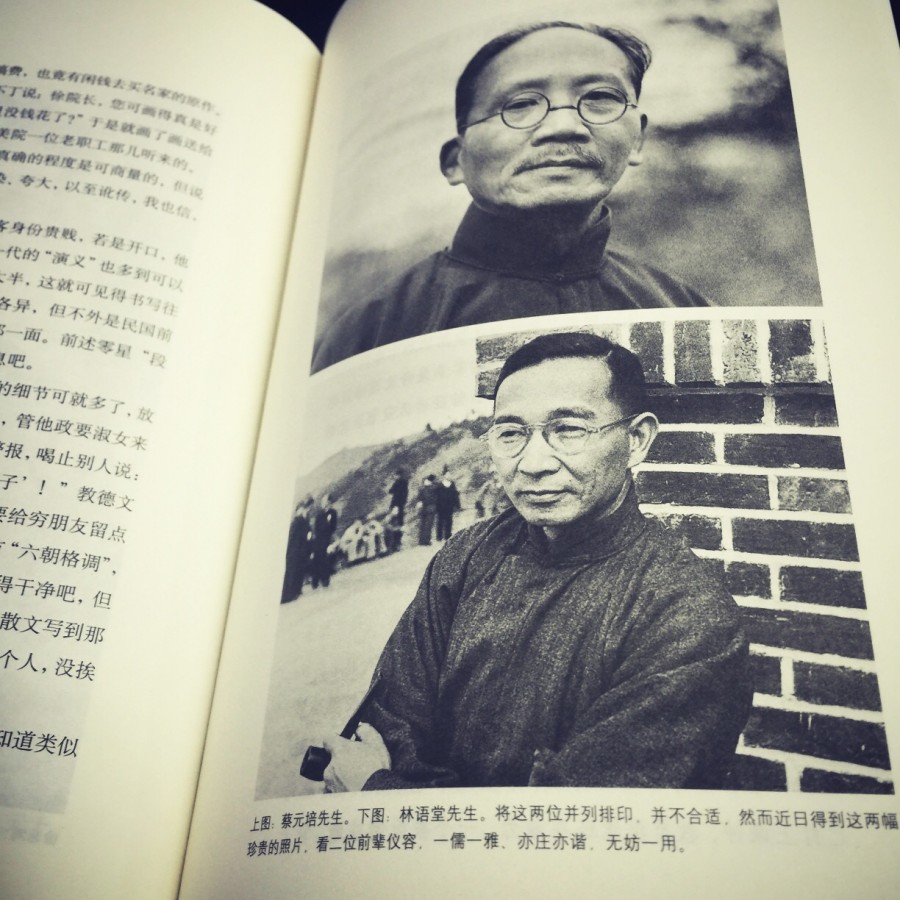 陈丹青：多余的素材