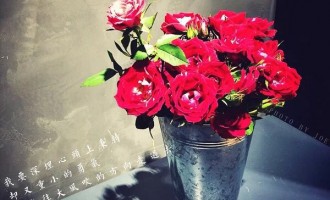 你记得也好，最好你忘掉