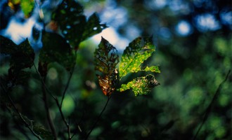 此生最后一次重逢