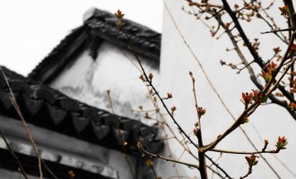 亲爱的，欠你一场春暖花开
