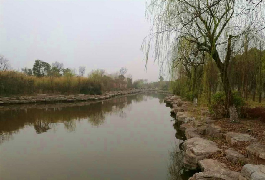 心若向阳，花便绽放