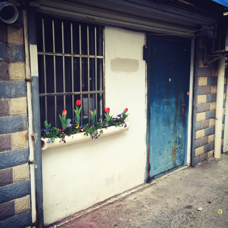 都能将日子过成诗，又怎会看不到生活的希望