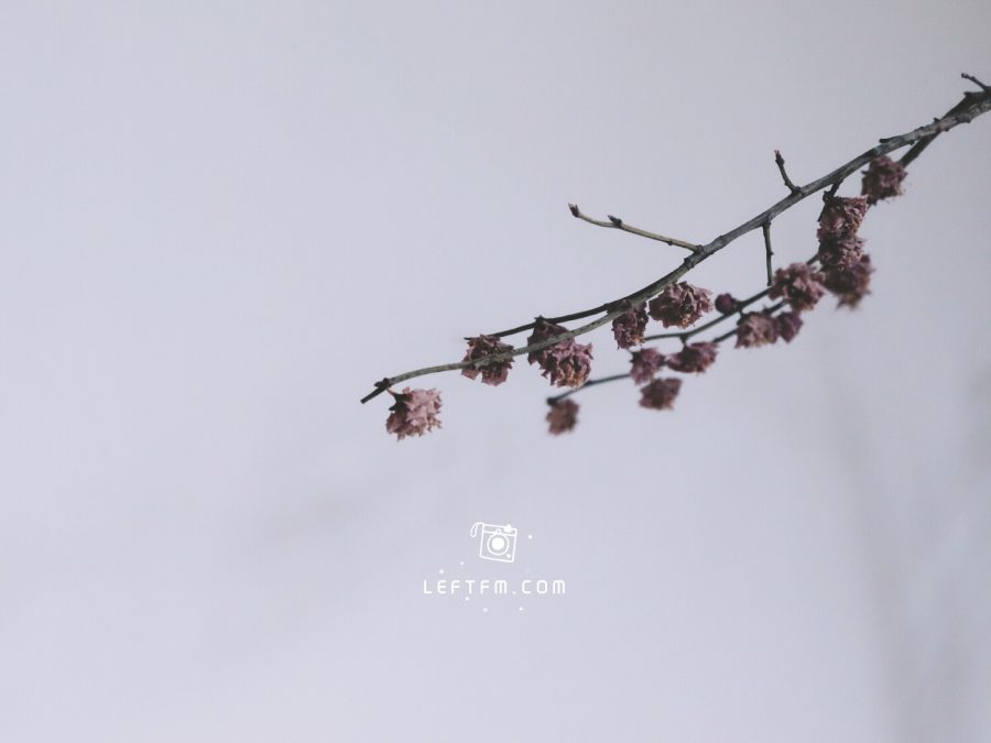 时光温润了岁月的印迹