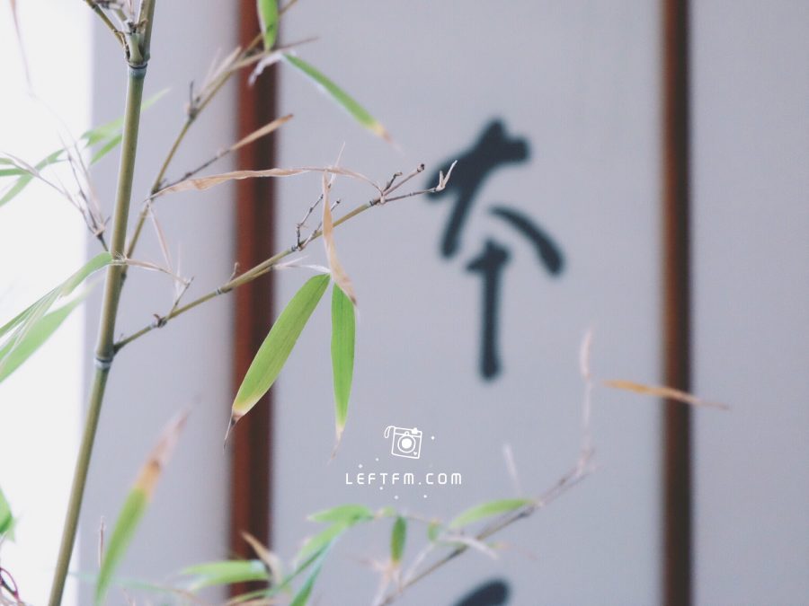 时光温润了岁月的印迹