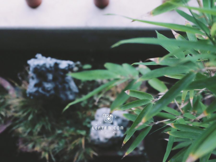时光温润了岁月的印迹
