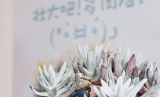 最好的爱并不是竭尽所能的给予