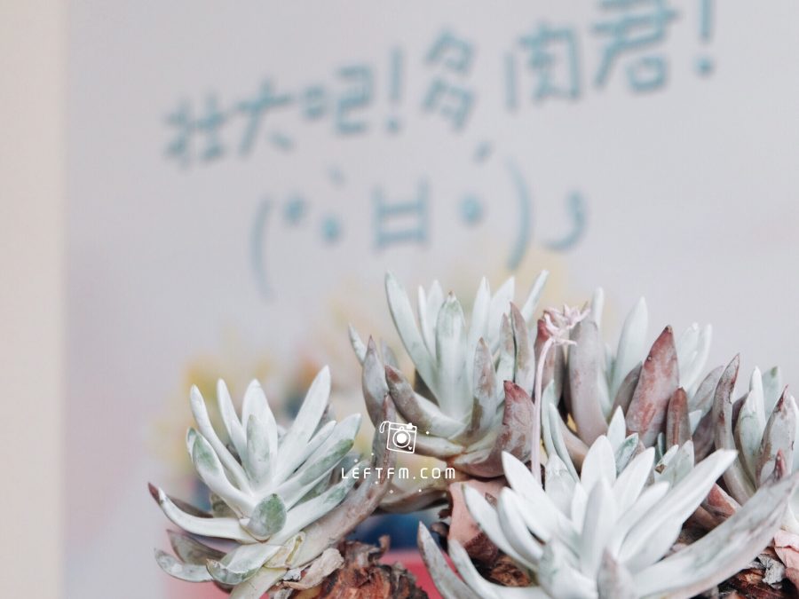 最好的爱并不是竭尽所能的给予
