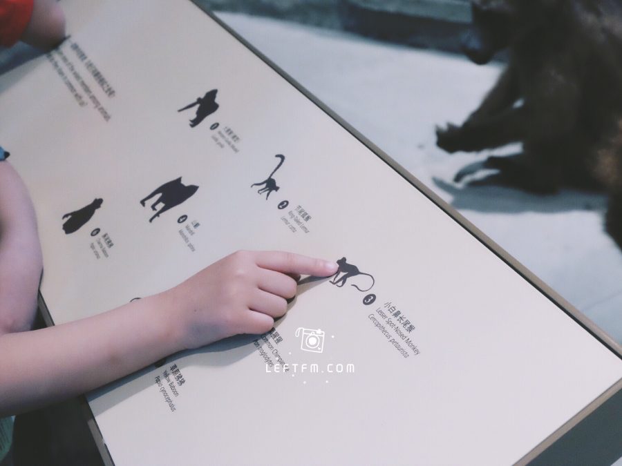 牵手去看：上海自然博物馆