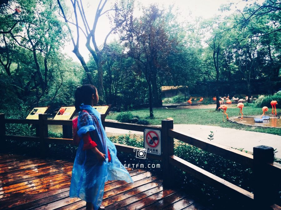 牵手去看：上海动物园