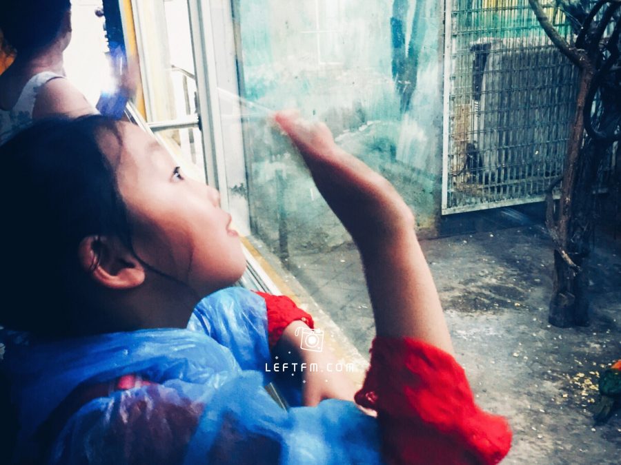 牵手去看：上海动物园