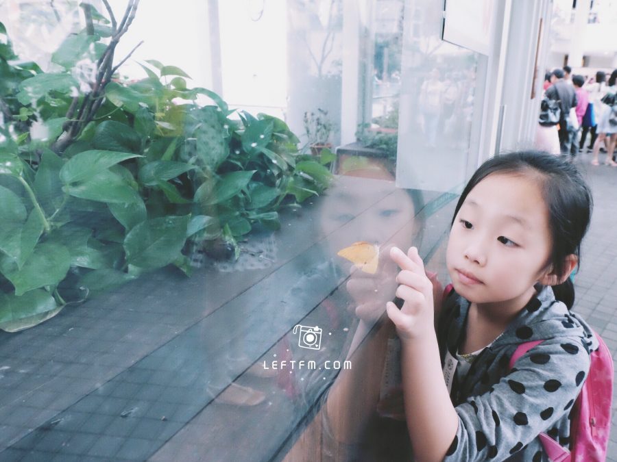 牵手去看：上海自然博物馆