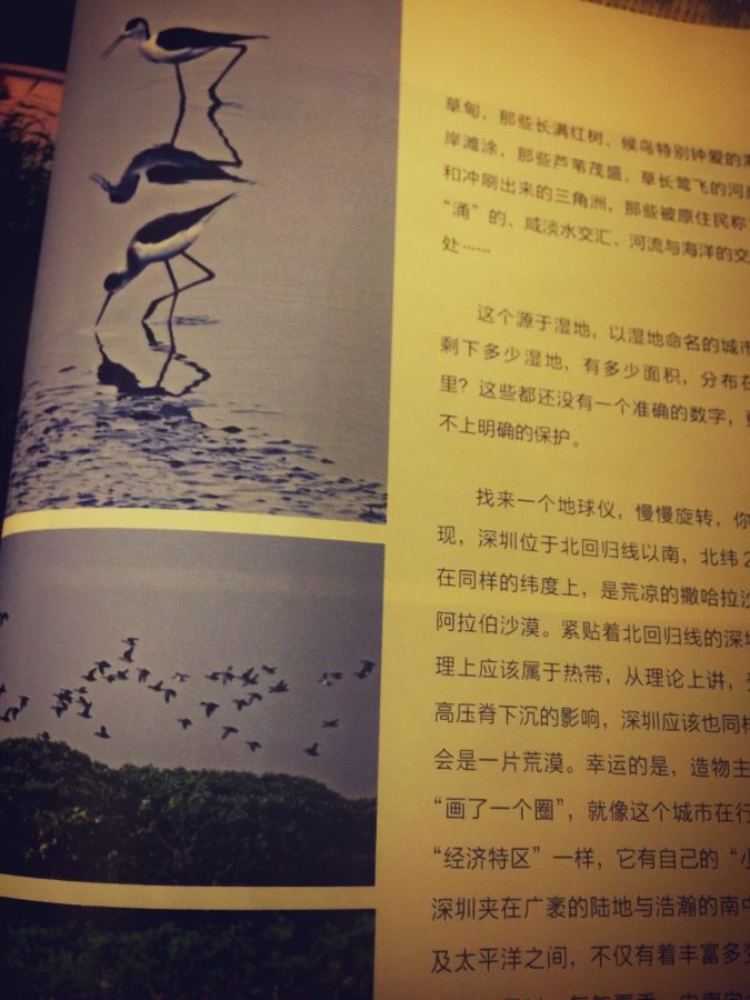 中国自然笔记