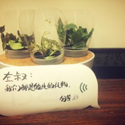 姑娘，这坑的确没有什么大不了的