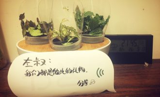 姑娘，这坑的确没有什么大不了的