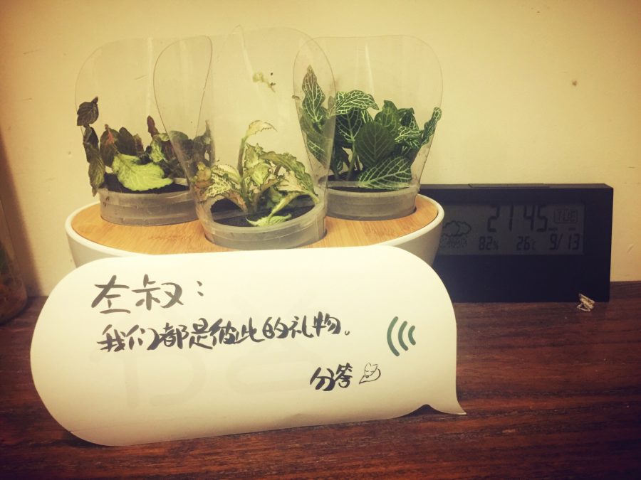 姑娘，这坑的确没有什么大不了的