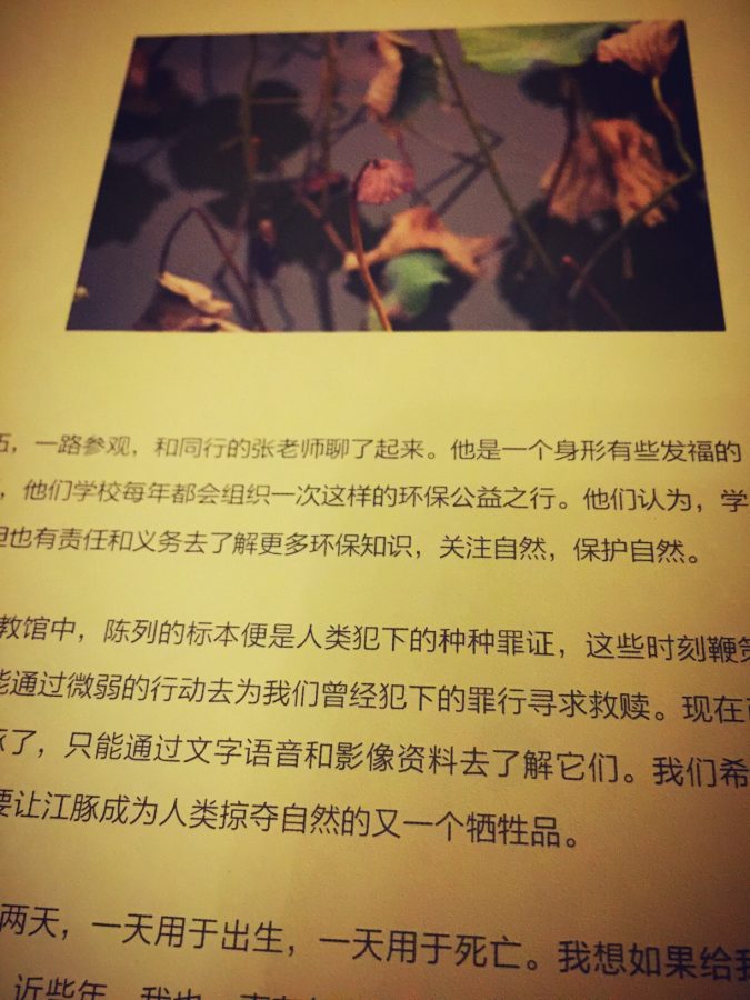 中国自然笔记