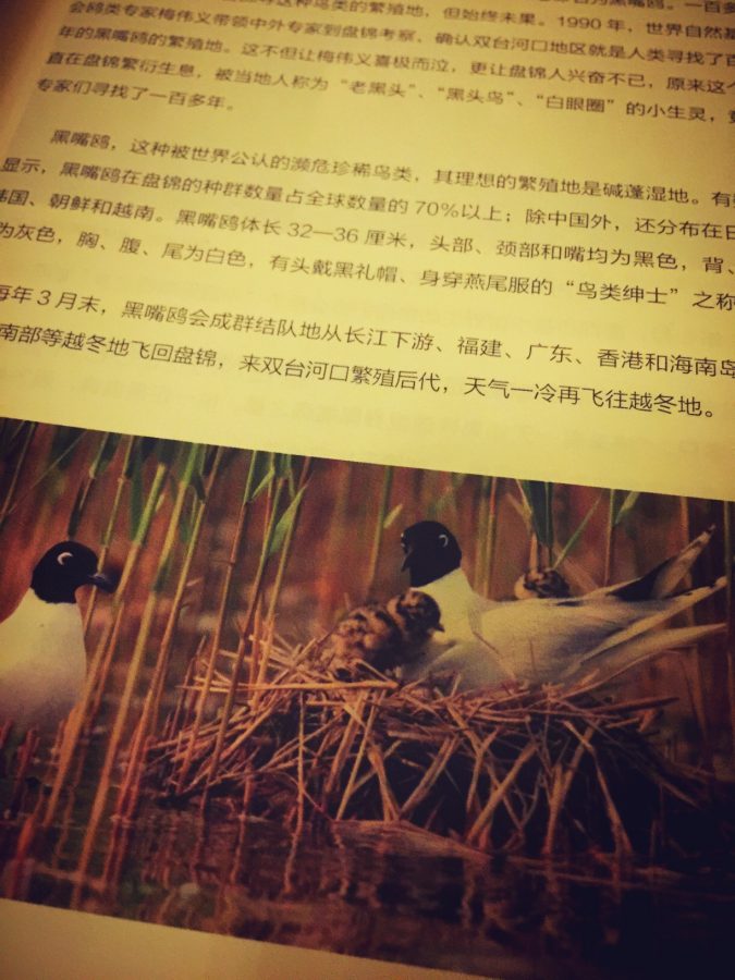 中国自然笔记