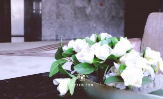 一个创业者的非正常死亡