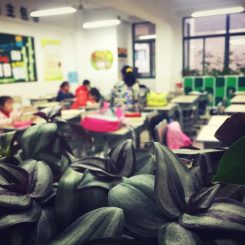 一位中国小学生家长的日常