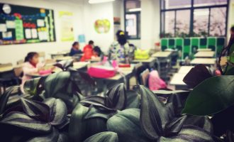 一位中国小学生家长的日常