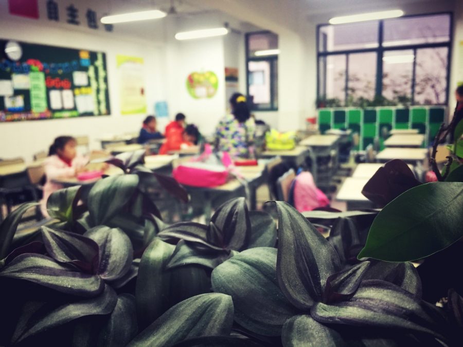 一位中国小学生家长的日常