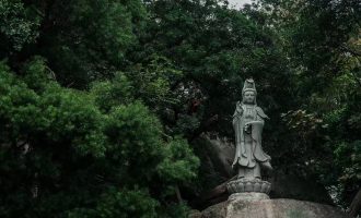 小鱼