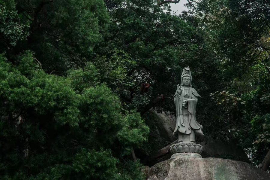 小鱼