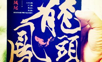 《龙头凤尾》大时代下的禁忌爱情