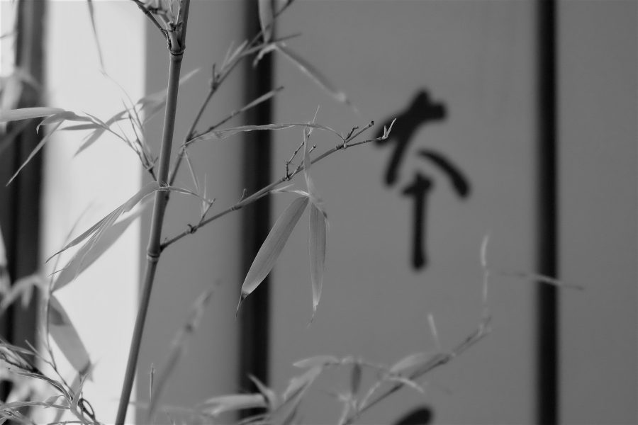 这一年，值得感谢的人很多