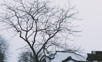信任一旦裂了痕