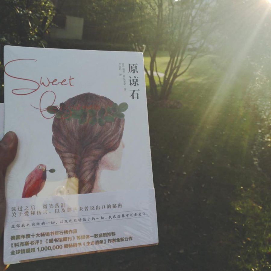 原谅石