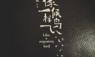 像候鸟一样飞：拍动灵魂双翼抵御现实沉重