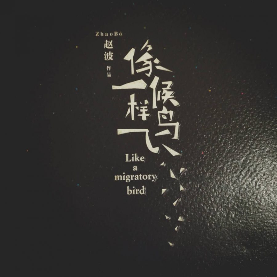 像候鸟一样飞：拍动灵魂双翼抵御现实沉重