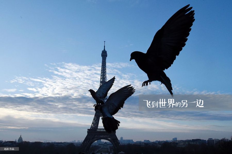 也许我爱过你，但我还是要离开巴黎
