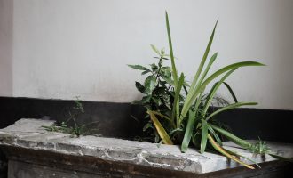 听游苏州：十全街