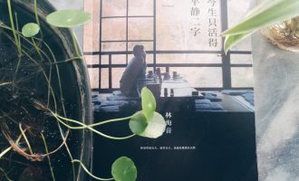 生活里的琐碎都是爱的模样