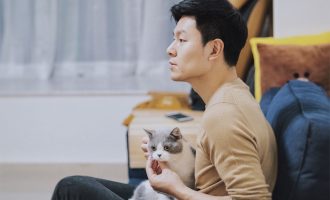 有猫病