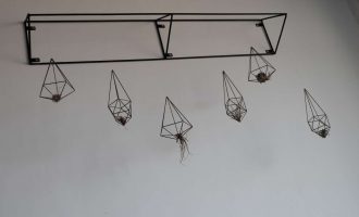 谁都是只能看个开头，猜不到结局