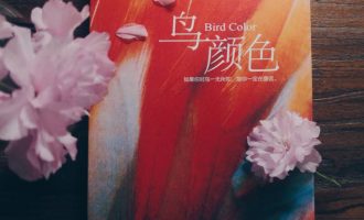 想要见识天空的辽阔，只有努力拍翅飞过